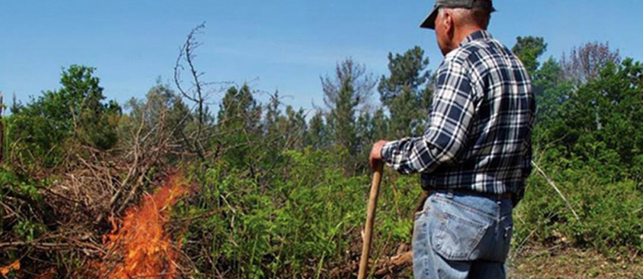 imagem representativa